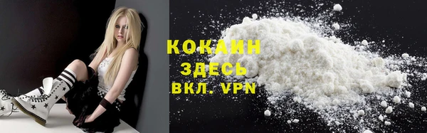 гидра Белоозёрский