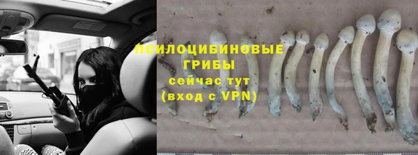 гидра Белоозёрский