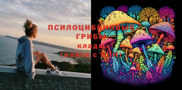 прущая мука Белокуриха