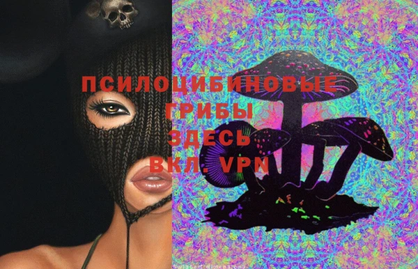 гидра Белоозёрский