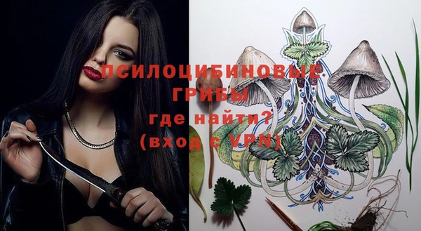 гидра Белоозёрский