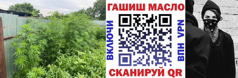 ТГК Wax  Реутов 