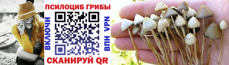 Галлюциногенные грибы Magic Shrooms  где продают   Реутов 
